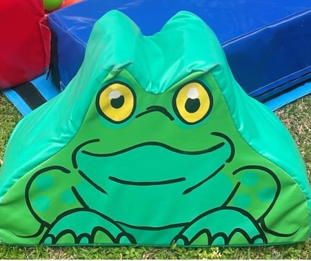 large-frog-soft-play
